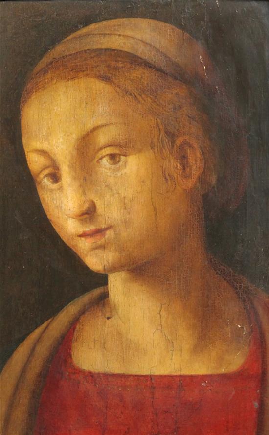 Circle of Amico Aspertini (1474-1552) Bust length portrait of a lady in a red dress, 12.75 x 8.5in.